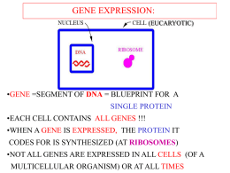 Gene expression - Weizmann Institute of Science