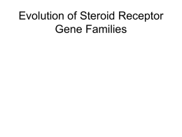 Evolution of Steroid Receptors