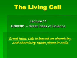 The Living Cell - Carnegie Institution for Science