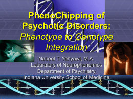 PhenoChipping of Psychotic Disorders: Phenotype to