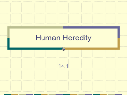 Human Heredity - Kent City School District