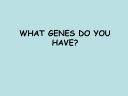 WHAT GENES DO YOU HAVE?