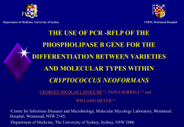 Molecular Characterisation of Cryptococcal Phospholipases