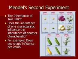 Mendel’s Second Experiment - Father Michael McGivney