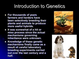 Introduction to Genetics