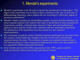 1. Mendel’s experiments