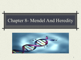 Chapter 8- Mendel And Heredity