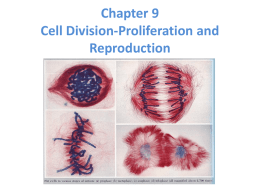 Chapter 9 Cell Division-Proliferation and Reproduction