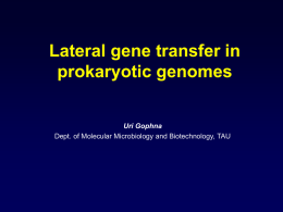 Lateral gene transfer in prokaryotic genomes: which genes