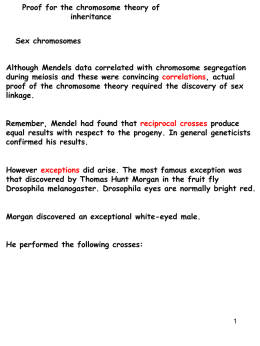 Mammalian X-chromosome inactivation