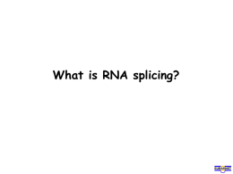 What_is_splicing