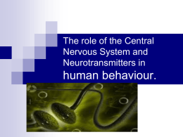 The role of the Central Nervous System and
