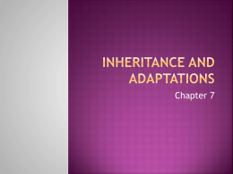 Inheritance and Adaptations