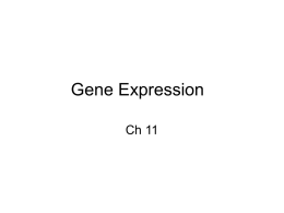 Gene Expression - Tacoma Community College