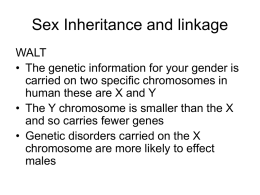 Sex Inheritance and linkage
