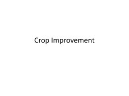 Crop Improvement - NIU Department of Biological Sciences