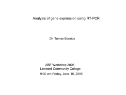 Analysis of genes using RT-PCR