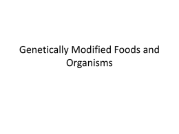 Genetically Modified Foods and Organisms