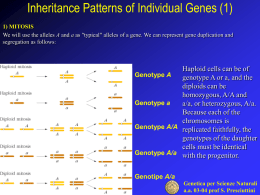 Inheritance Patterns of Individual Genes (1)