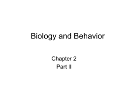General Psychology: Biology II
