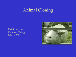 Animal Cloning - Parkland College