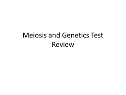 Meiosis and Genetics Test Review