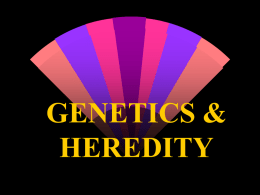 GENETICS & HEREDITY - Utah Electronic High School