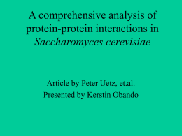 A comprehensive analysis of protein