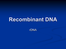 Recombinant DNA - Richmond School District