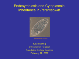 Endosymbiosis and Cytoplasmic Inheritance of symbionts and