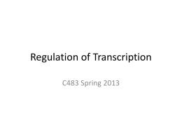 Regulation of Transcription
