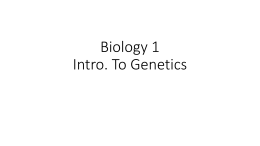 Biology 1 Intro. To Genetics