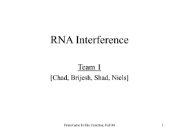 The RNAi mechanism