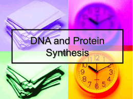 DNA and Protein Synthesis - Trinity School, Nottingham