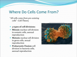 Where Do Cells Come From?