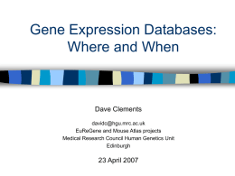 Recording, Presenting and Querying Gene Expression Data