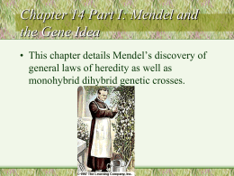 Chapter 11: Mendelian Patterns of Inheritance