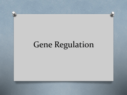 Gene Regulation - Two Rivers High School