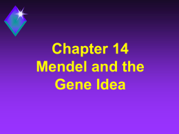 Mendel and the Gene Idea - Ludlow Independent Schools