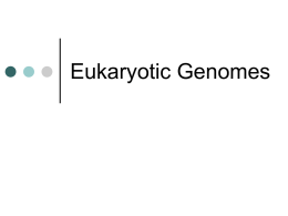 Eukaryotic Genomes - Building Directory