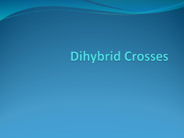 Dihybrid Crosses - Kent City School District