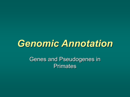 Genomic Annotation