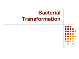 Bacterial Transformation - Tamalpais Union High School