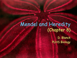 Mendel and Heredity (Chapter 8)