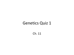 Genetics Quiz 1 - KATMAN SCIENCE
