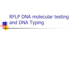 DNA Typing