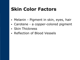 Skin Color Factors - College of Charleston