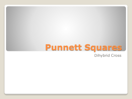 Punnett Squares - Science in the Making