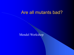 Are all mutants bad? - University of Missouri