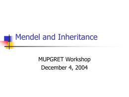 Mendel and Inheritance - University of Missouri